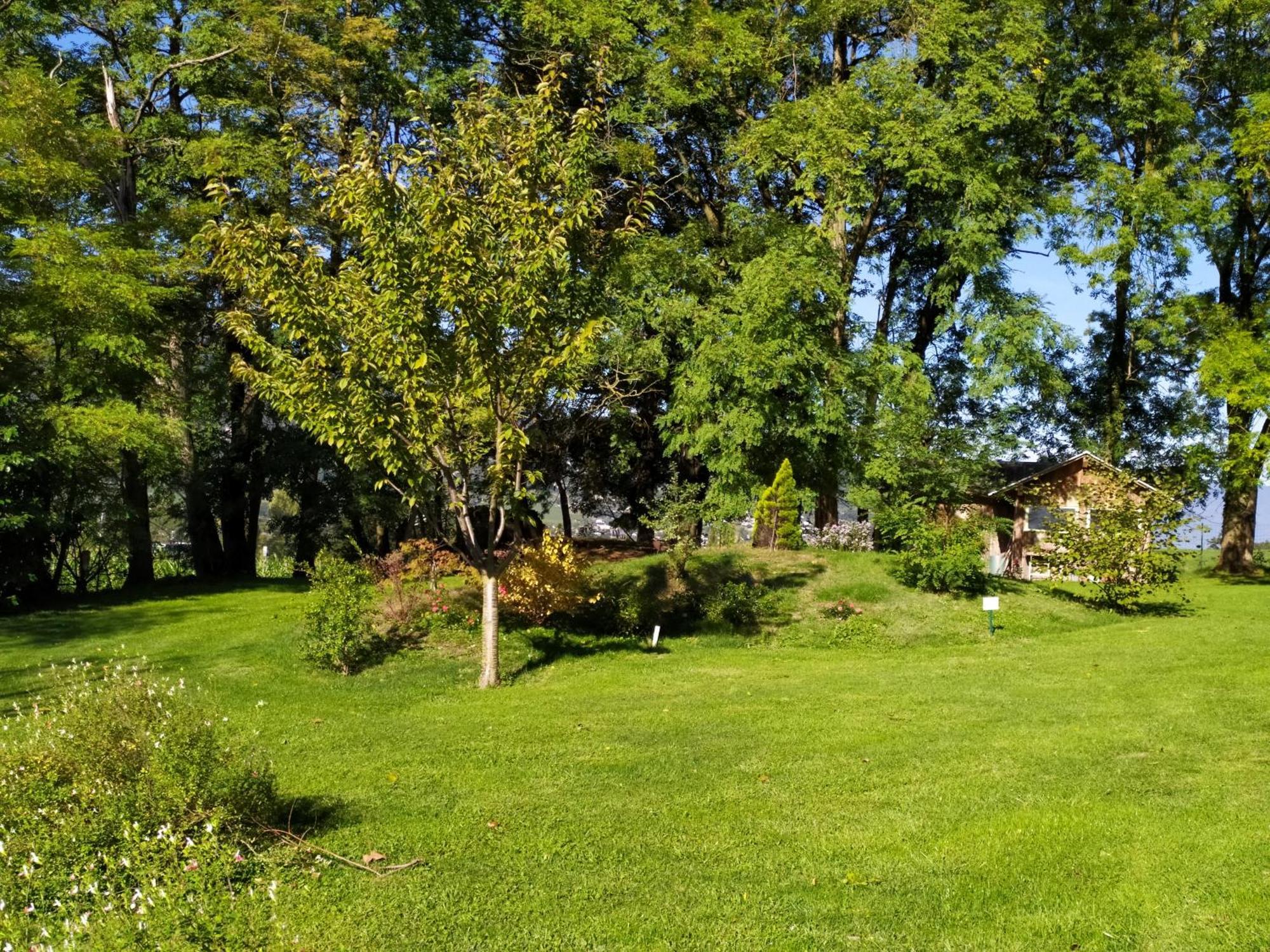 Gite Arthur Et Germaine Maisonnette A La Campagne Avec Un Grand Jardin Saint-Jeoire-Prieure Bagian luar foto