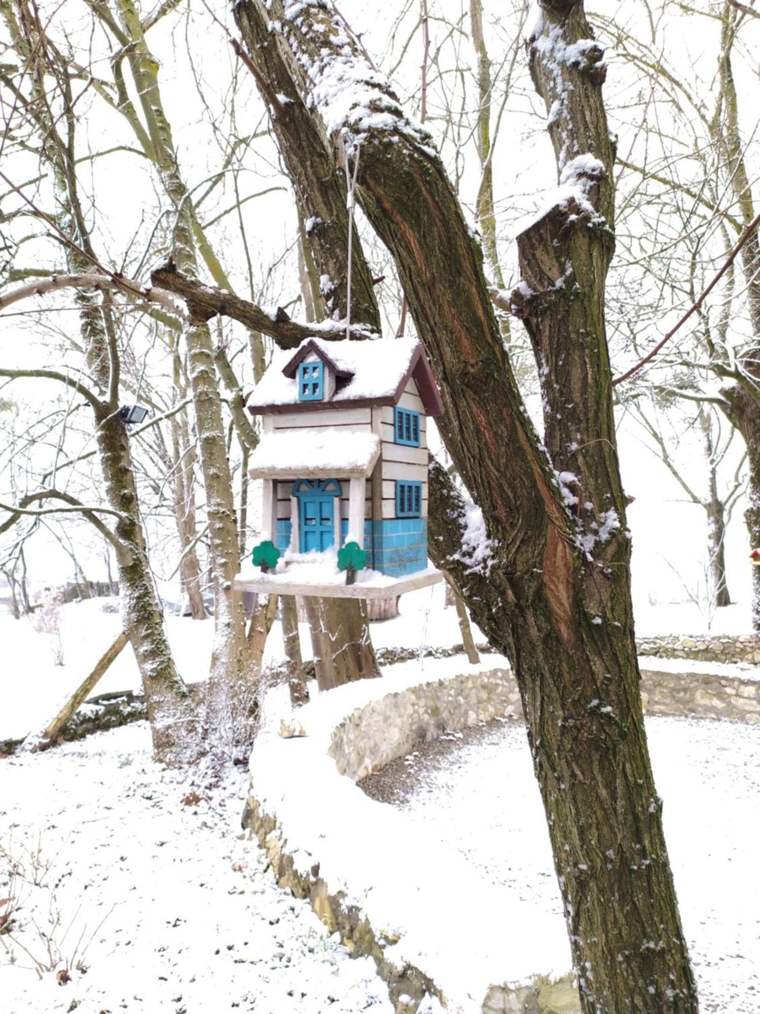 Gite Arthur Et Germaine Maisonnette A La Campagne Avec Un Grand Jardin Saint-Jeoire-Prieure Bagian luar foto